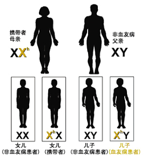 家有血友病宝宝如何护理 血友病宝宝的护理方法