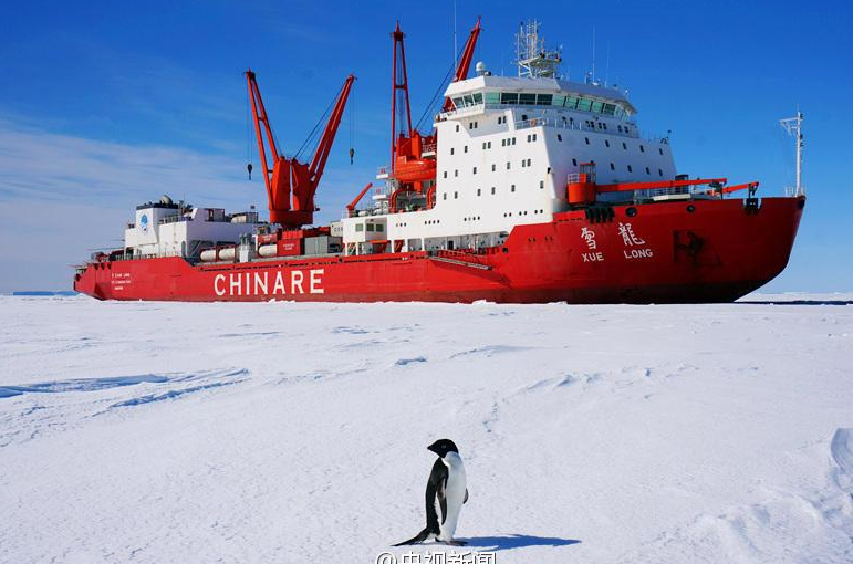 南极企鹅"围观"雪龙号科考船