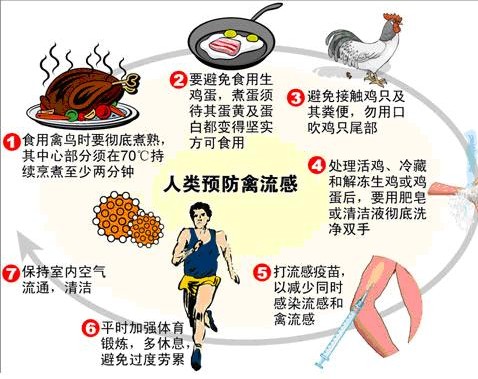 南京女子感染甲型H7N9禽流感 图说生活预防禽