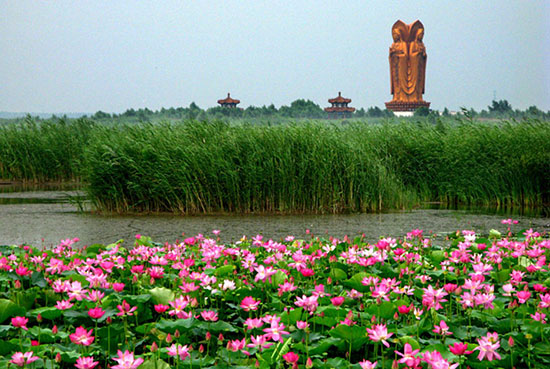 宁波太白湖景区图片